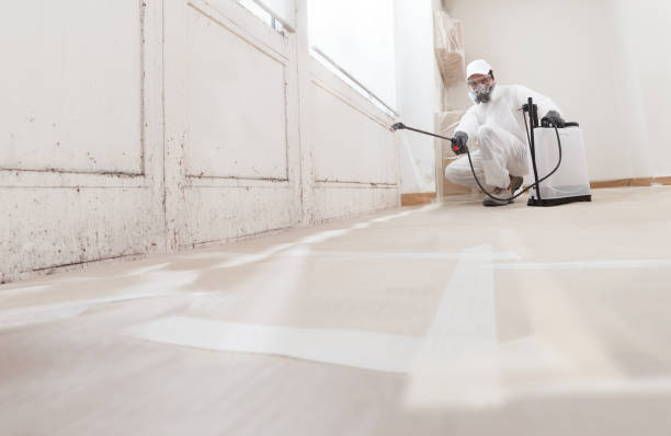 24/7 Emergency Mold Remediation experts in Newton Center, MA