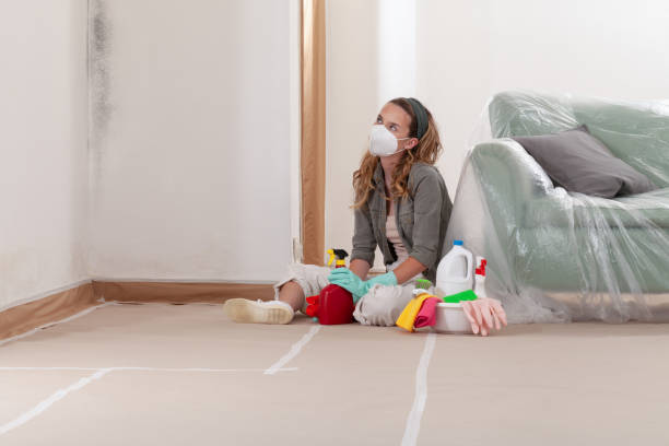 Reliable Mold Remediation contractor in Newton Center, MA by Mold Remediation HQ
